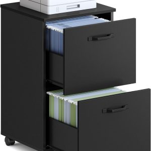 VASAGLE 2-Drawer File Cabinet, Small Rolling Filing Cabinet for Home Office, Printer Stand, for A4, Letter-Size Documents, 15.7 x 16.5 x 27.6 Inches, Ink Black UOFC040B16