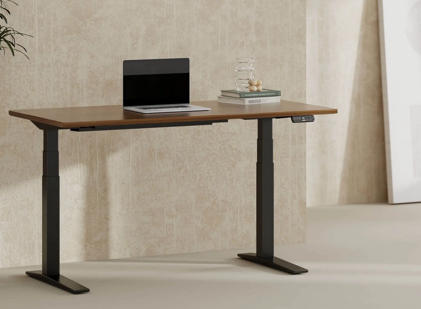 Flexispot E7 Pro height-adjustable standing gaming desk